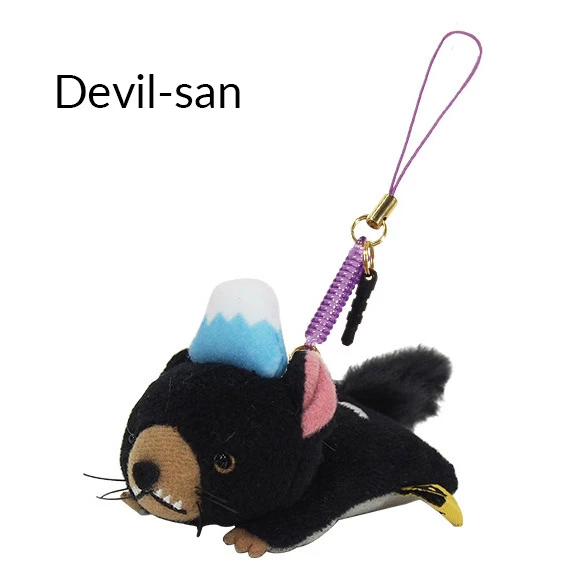 Fujisantachi Display Cleaner Strap - Image 3