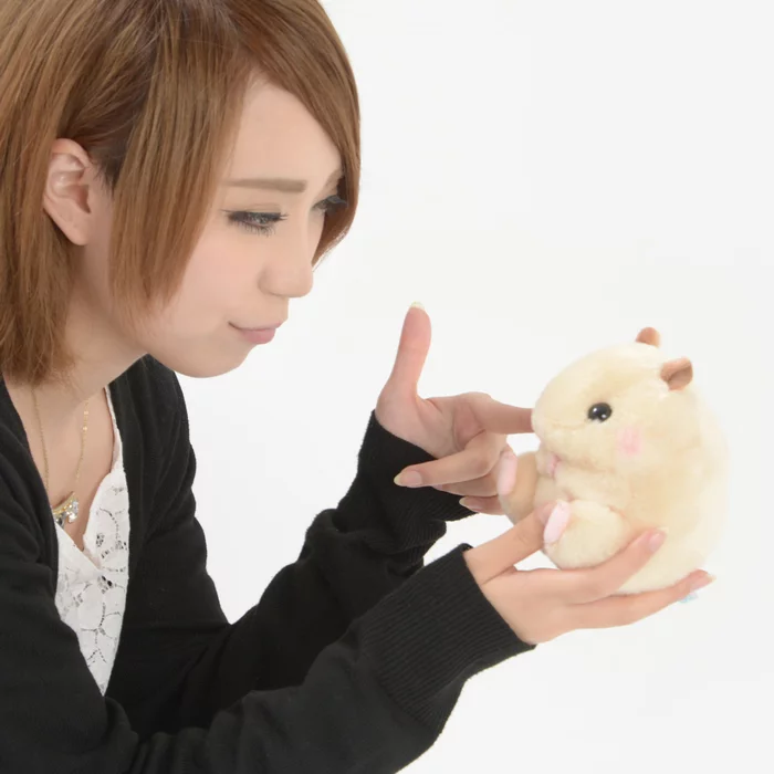 Coroham Coron No Otomodachi Hamster Plush Collection (Standard) - Image 4