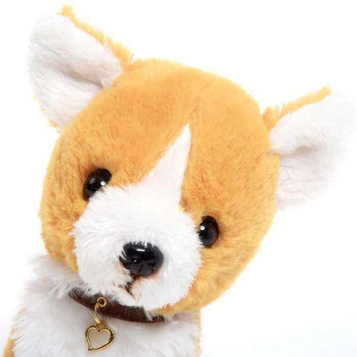 PUPS! Small Welsh Corgi Plush - Image 4