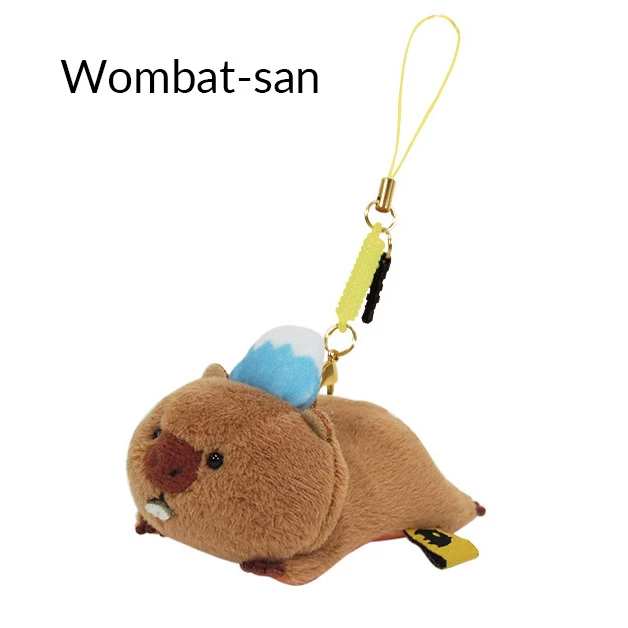 Fujisantachi Display Cleaner Strap - Image 2