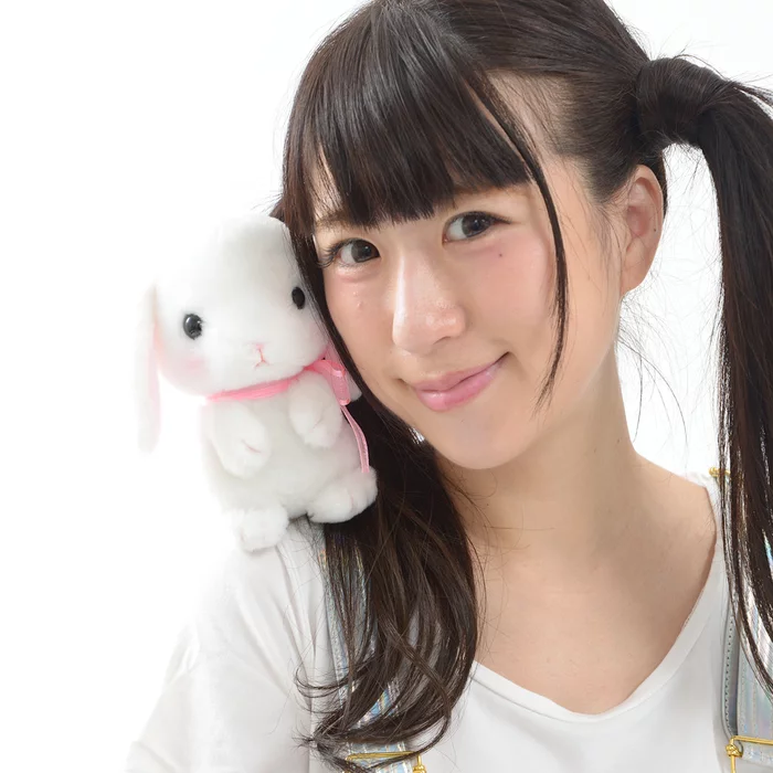 Pote Usa Loppy Onedari Rabbit Plush Collection (Standard) - Image 8