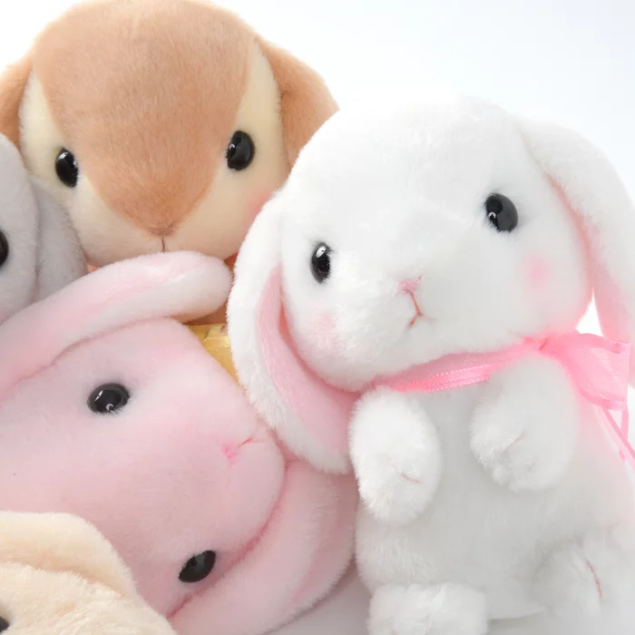 Pote Usa Loppy Onedari Rabbit Plush Collection (Standard) - Image 12
