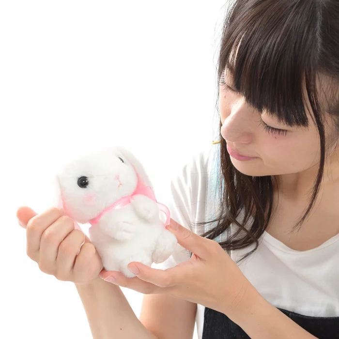 Pote Usa Loppy Onedari Rabbit Plush Collection (Standard) - Image 9